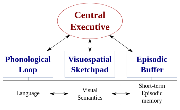 Central Executive